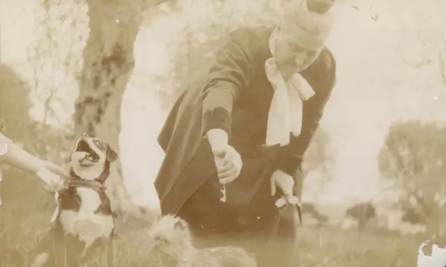 France, Saint-Paul-de-Vence, Femme et ses chiens, 1911, Vintage citrate print Vi