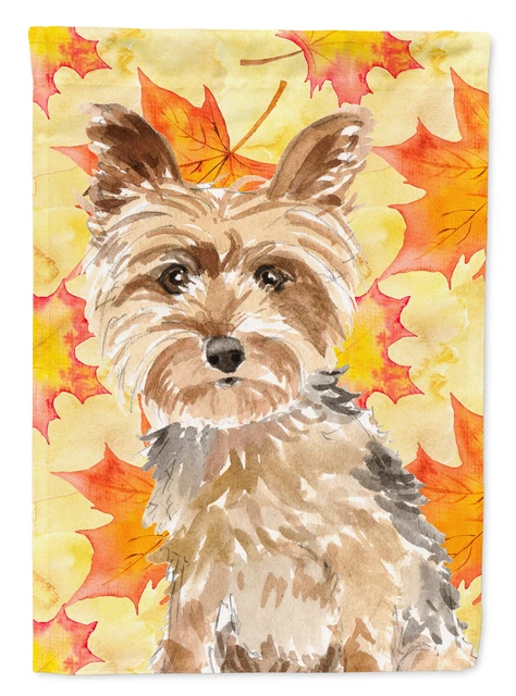 Yorkie Yorkshire Terrier Fall Leaves Flag Garden Size CK1817GF