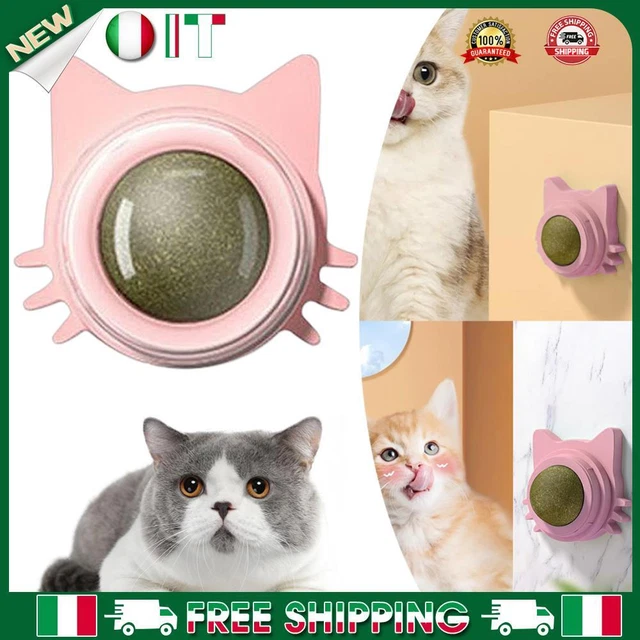 Giocattolo Appeso Per Gatti A Forma Di Topo | 2 Pezzi Con Suono | Corda Elastica Regolabile | Per Intrattenimento