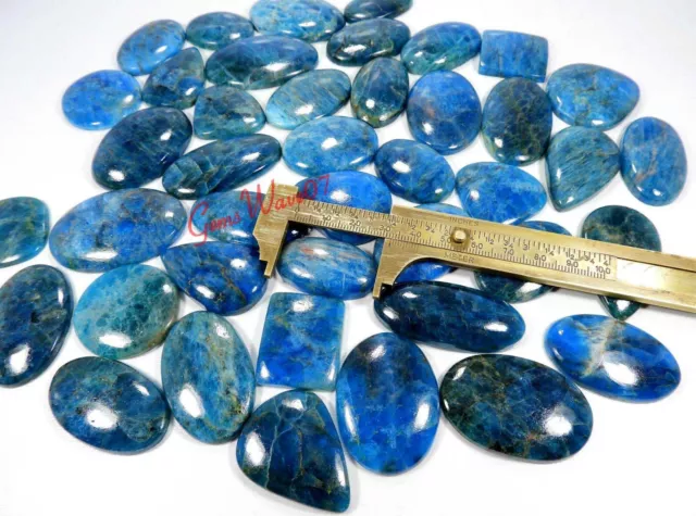 Naturel Fluo Bleu Apatite Cabochon en Gros Lot 5000 Carats 86 Pièces Libre Gemme