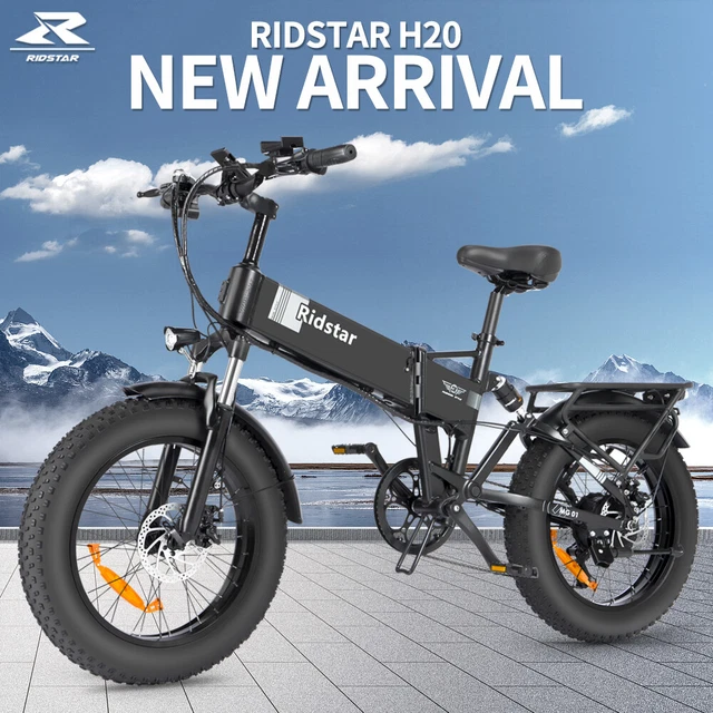fat electric bicycle