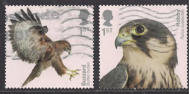 GB 2019 QE2 1st x 2 Birds of Prey Hobby & Buzzard S / A SG 4210 /1 CV £30 ( D221