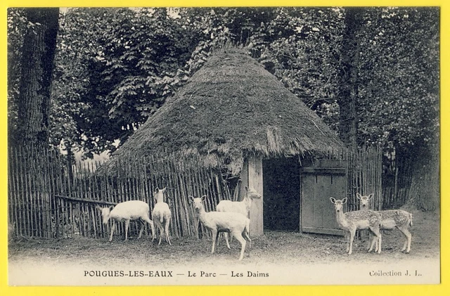 cpa Burgundy 58 - POUGUES les EAUX (Nièvre) Le PARC THERMAL Les DAIMS La HUTTE