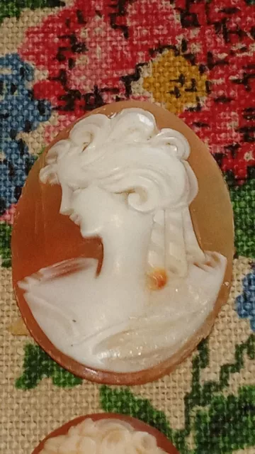 7 Camées Anciens Coquille Profil Femme Antique Lot Old Shell Cameo 1900-1940 2