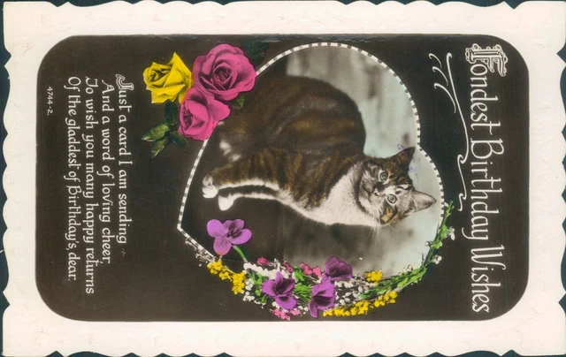 real photo Birthday cat floral windsor series