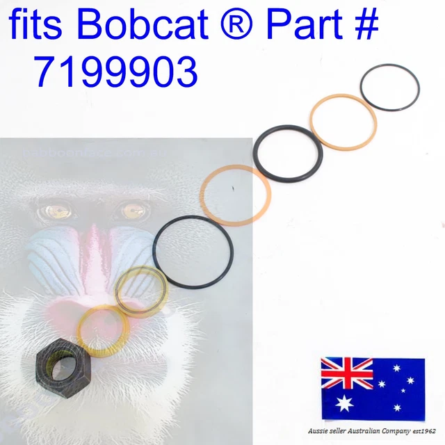 OEM Bobcat Boom Hydraulic Swing Cylinder Ram Seal Kit 7199903 E25 E26 E27 E27Z