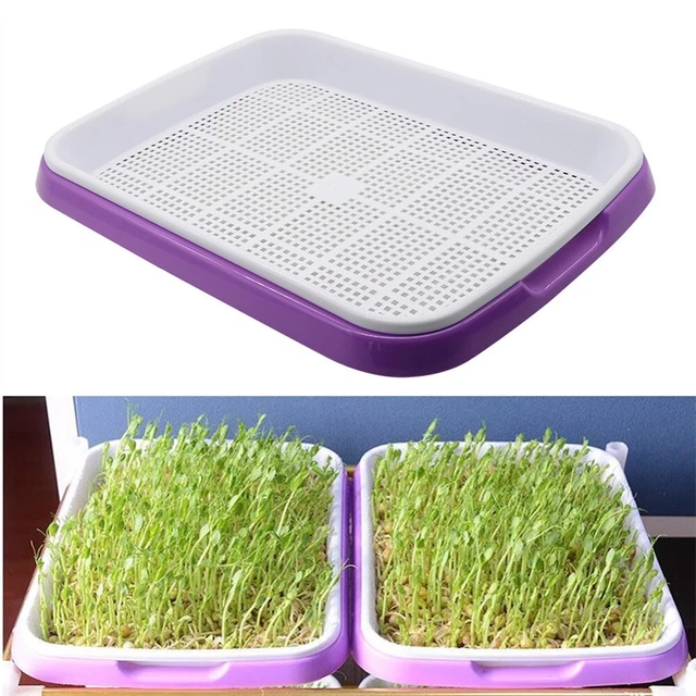 Microgreens Plateau Hydroponique / Germination for Germes 33cm X 26cm X 5cm