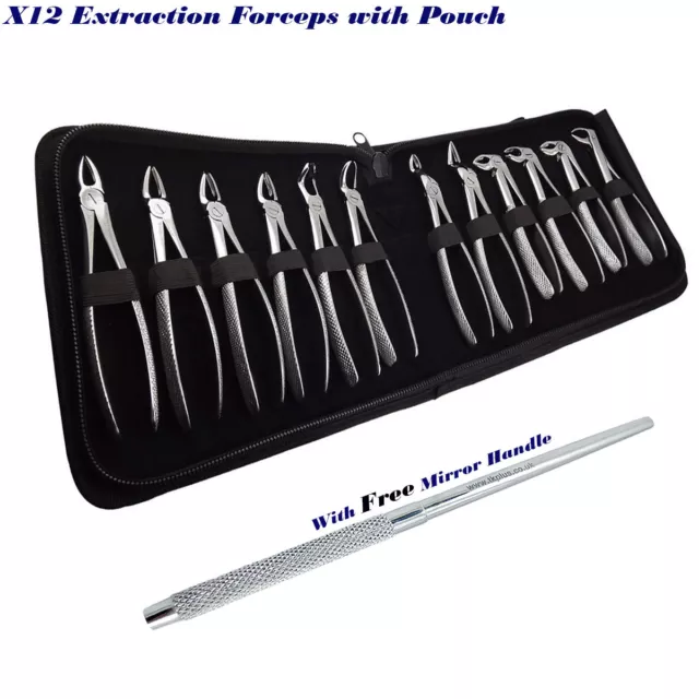 Dental Surgical Extraction Forceps + Free Mouth Mirror Oral Surgery instruments