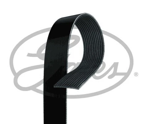 Gates 12Pk1610Hd cinghia trapezoidale per MAN Lion's Regio 10.6 15->