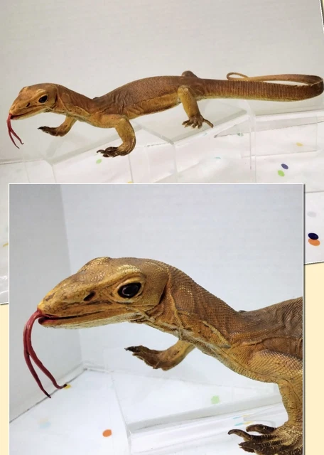Monitor Lizard Replica AAA Realistic 18"
