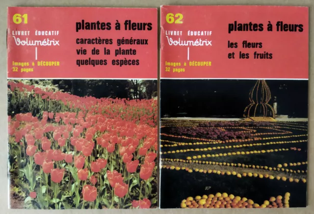 Volumétrix -- Livret Éducatif (61 / 62). Plantes À Fleurs --