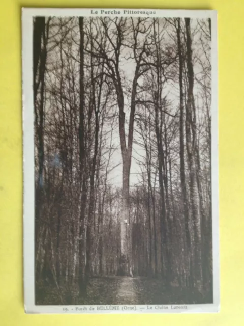 cpa FRANCE 61 - FORÊT de BELLÊME Orne Le Chêne Lorentz ARBRE TREE