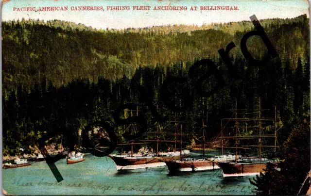 1908 BELLINGHAM WA Pacific American Canneries, Fishing Fleet postcard jj120