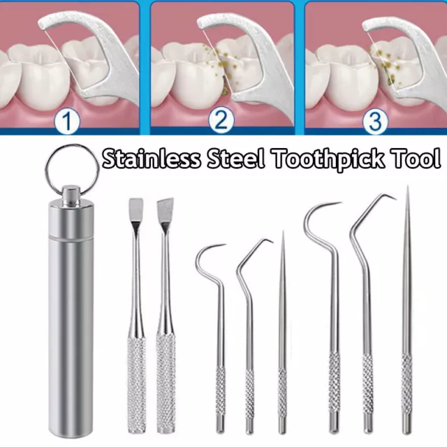 1Set Palillo Set Metal Acero Inoxidable Oral Limpieza Dental el Hilo Con Tubo