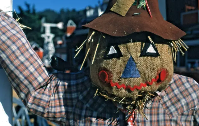 35 MM Color Slides Pro Photo Fall Autumn Scarecrow Halloween Close Up 1990 #12