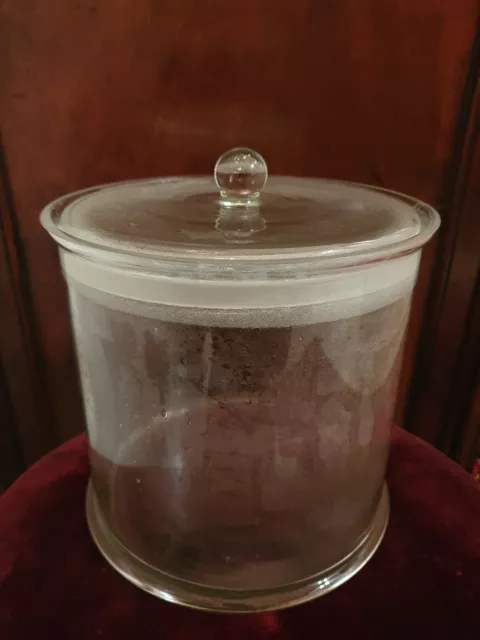 vaso contenitore vetro laboratorio antico medico oddities wet specimen brain jar