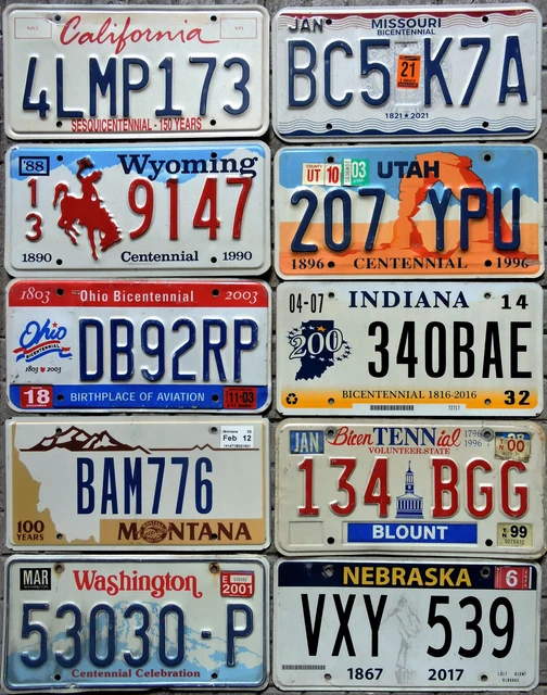 Lotto 10 Targhe Auto USA In Metallo - Repliche Di Stati Americani | Per Collezionismo O Decorazione - Foto 3