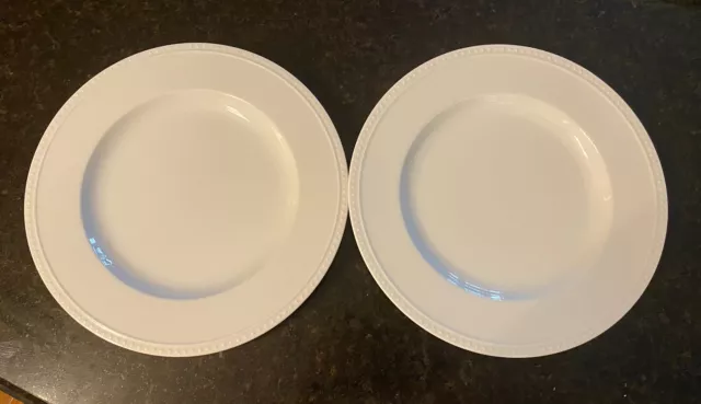 Crate & Barrel STACCATO Dinner Plates~SET OF 2~11" - By Kathleen Wills ~EUC