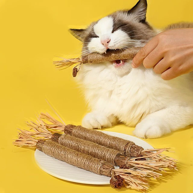 6PCS Catnip Toys Cat Wand Silvervine Sticks Cat Toys For Indoor Chew Cats Toy