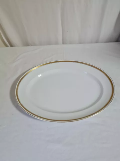 Vintage Big Losol Ware Keeling & Co Burslem England Serving Meat  16 in Plate