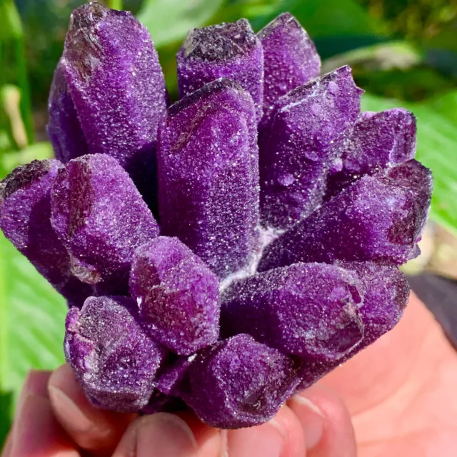 262G New Find sky purple Phantom Quartz Crystal Cluster Mineral Specimen