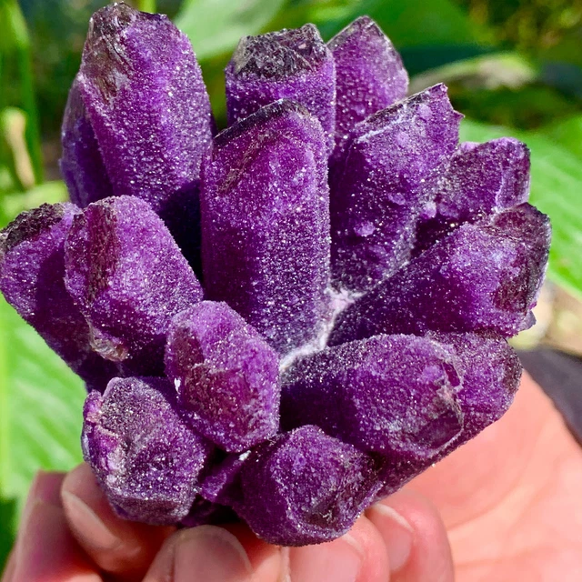 262G New Find sky purple Phantom Quartz Crystal Cluster Mineral Specimen
