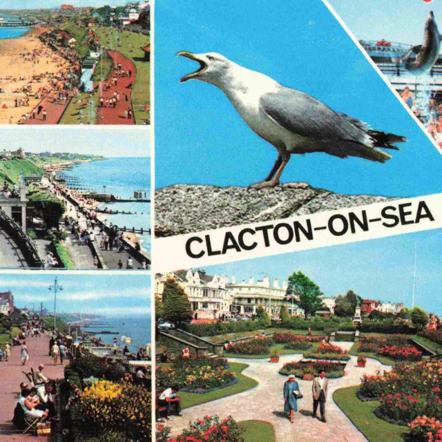 Clacton On Sea Essex Multiview Gull - C.1970 Postcard T14
