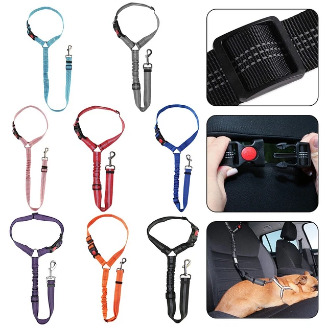 Remolcar cuerda accesorios para mascotas vajilla de plomo mascota reposacabezas nailon