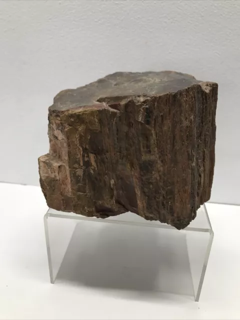 Amethyst Geode Raw Crystal: 1 lb 9.3oz (718 g) Polished Face, 5.5 Long