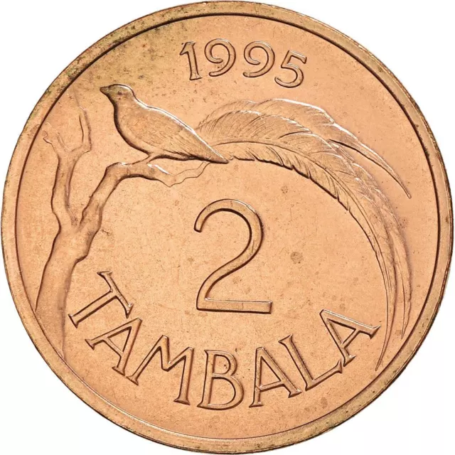 Malawi 2 Tambala Coin | Paradise Whydah Bird | 1995