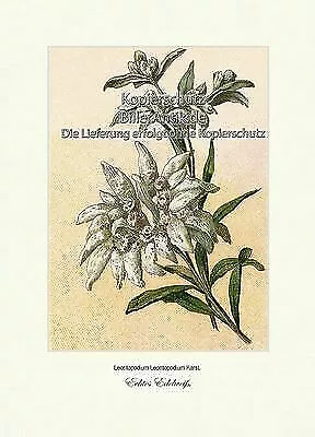 Echtes Edelweiß Alpenblume Asternartige Korbblütler Röhrenblüten Vilmorin A3 122