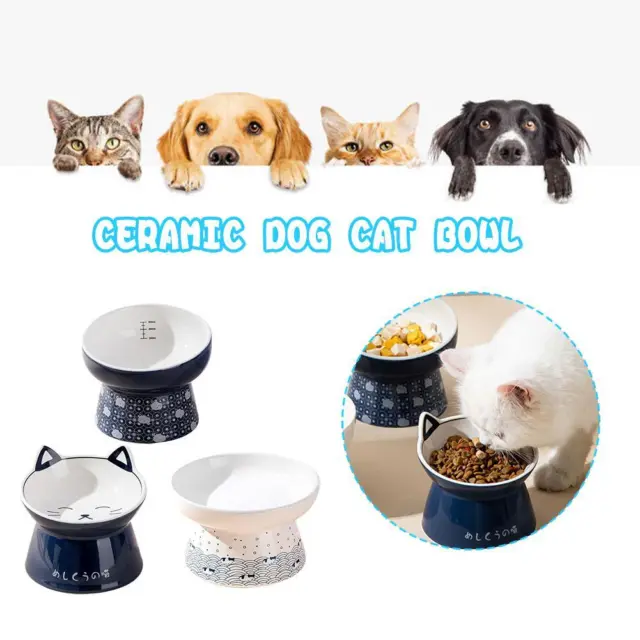 Juego de tazones elevados de cerámica inclinados para gatos, comida y agua elevados> M9Y5
