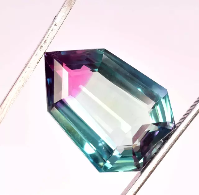 Tourmaline du Mozambique multicolore naturelle de 29,05 ct certifiée AAA+,...