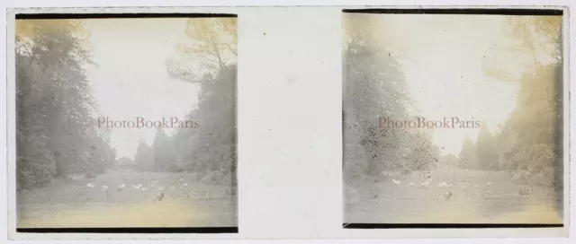 FRANCE Mirabeau c1930 Photo Stereo Glass Plate Vintage V17T13n2 2