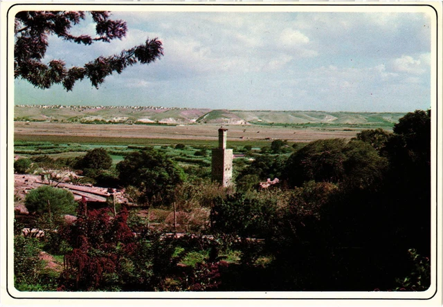 CPM AK MOROCCO - FLAP - Chellah with its Mosque (87249)
