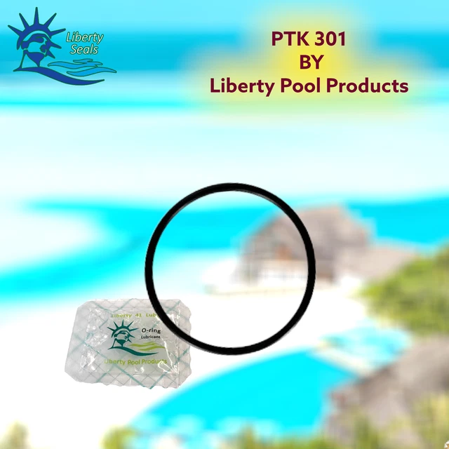 FF-12 FLO-MASTER® Suction O-Ring Replacement Pool - Spa Pump For Aqua ...