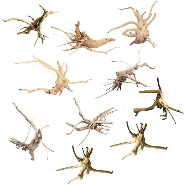 Bois Flotté pour Aquarium Branches en Bois Naturel DéCorations D'Aquarium RepR3
