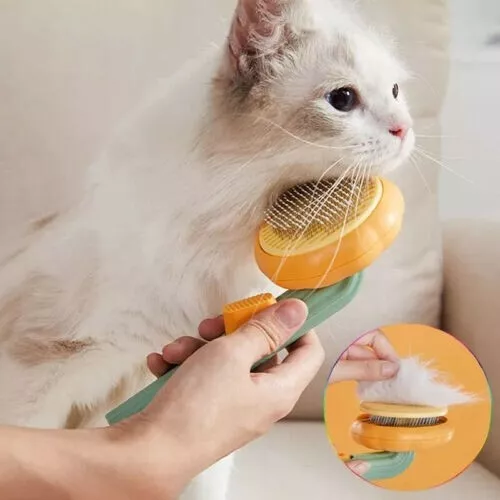 2023 Pumpkin Pet Brush Self Cleaning Slicker Brush for Shedding Dog Cat Grooming