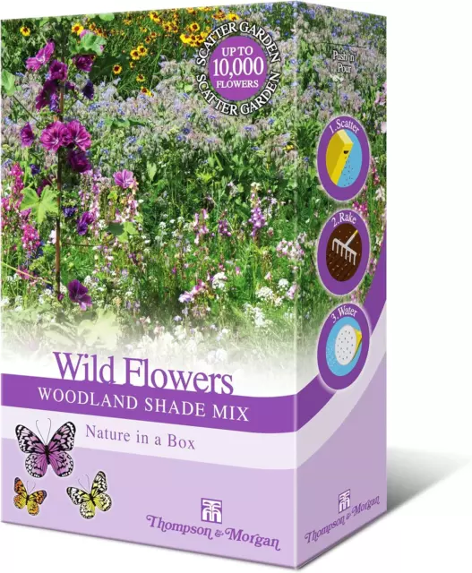 Woodland Garden Wildflower Seeds for Bees and Butterflies | Wild Flower Seed Mi
