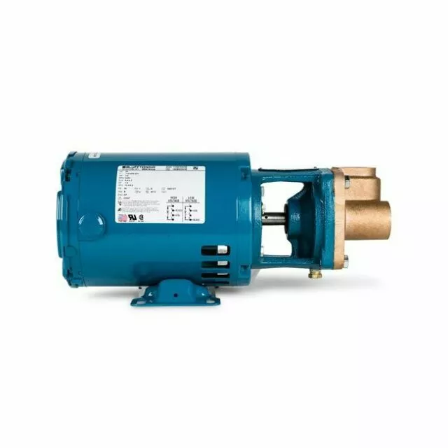 Burks Pumps 5CT6M-FE Bronze Motor Turbine Pump