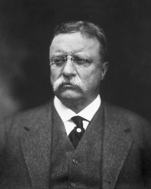 26th US President THEODORE 'TEDDY' ROOSEVELT Glossy 8x10 Photo Print Poster