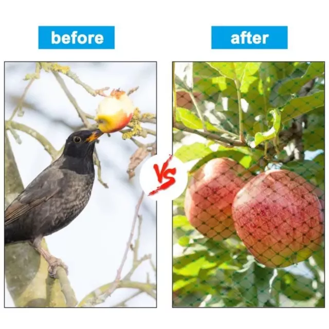 Filet anti-oiseaux x2 protection pour plantes fruits fleurs et légumes 4x10 M 3