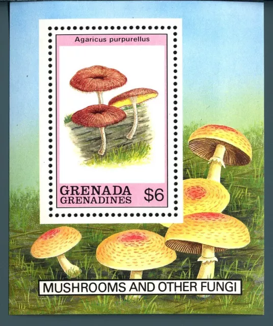 GRENADA - ISOLE GRENADINE - BF - 1989 - Flora. Funghi Agaricus purpurellus MNH**