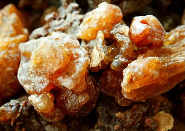 Organic Myrrh Resin from Oman (Commiphora Myrrha) (1.5 oz.)