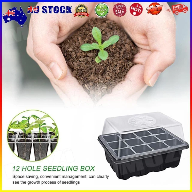 GERMINATION BOX WITH Dome and Base Garden Nursery Seedling Grow Trays