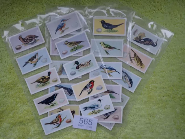 SWETTENHAM Tea - Birds and Their Eggs  - Full set of 25 Trade / Tea Cards