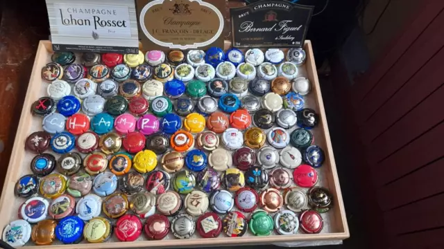 lot  240 capsules de champagne différentes avec  séries    ( a 0, 17 € pièce