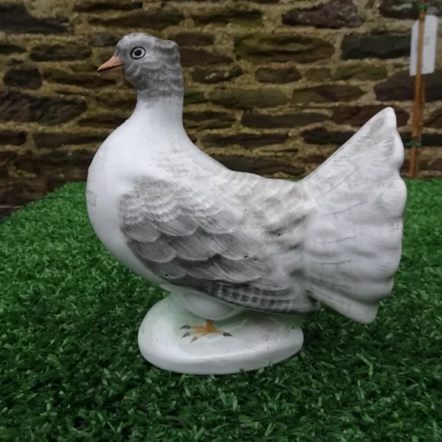 SUPERB 19thC STAFFORDSHIRE PORCELLANEOUS FAN TAILED PIGEON c1880s