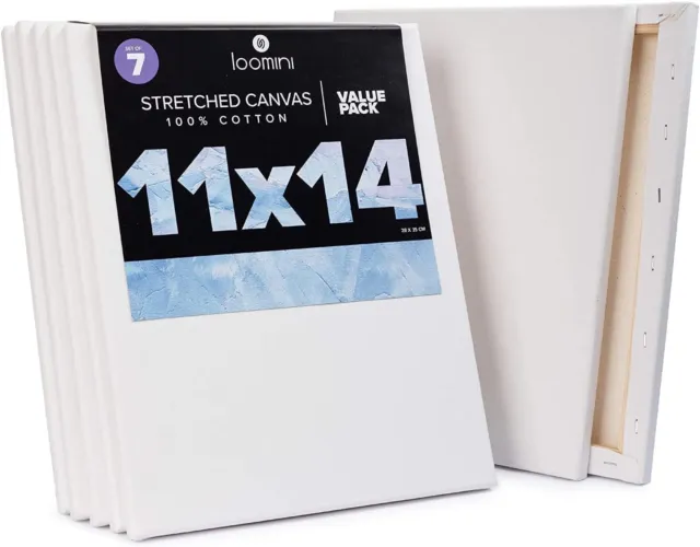 Phoenix Artist Stretched Canvas 18X24 5Pack Painting Board 100