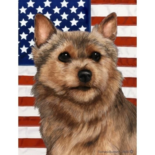 Patriotic (D2) Garden Flag - Grizzle Norwich Terrier 321521
